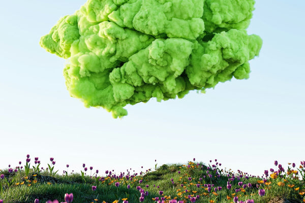 Eco-Anxiety: Navigating Concerns About the Environment and Mental Well-Being