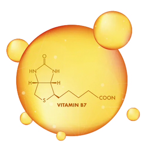 BIOTIN